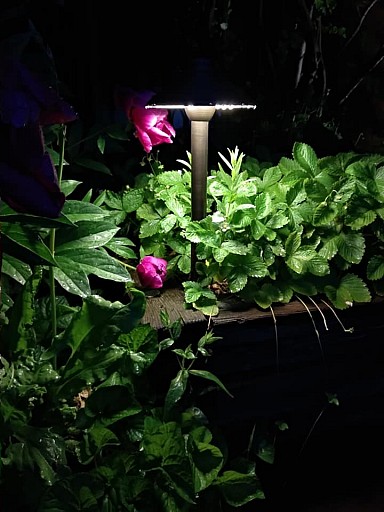 САДЫ И ЛЮДИ 2019